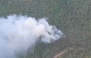 Incendio forestal en Cañizares (Cuenca).