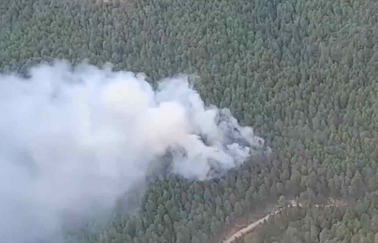 Incendio forestal en Cañizares (Cuenca).