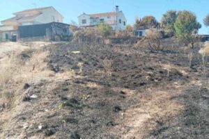 Foto del incendio de Casarrubios del Monte (Toledo). Foto: ENCLM/Rebeca Arango