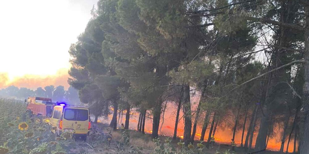 Incendio en Villalba del Rey. Foto: Miguel Ángel Moraleja.