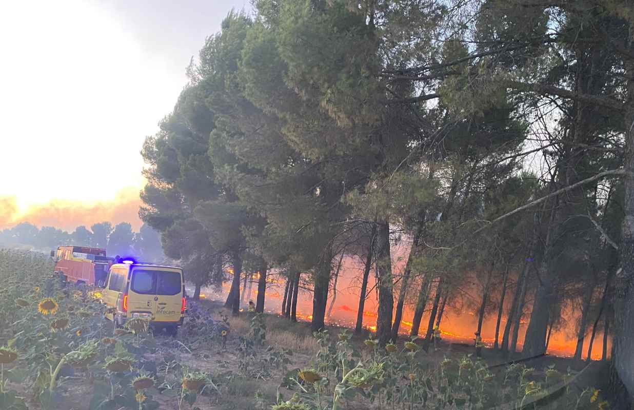 Incendio en Villalba del Rey. Foto: Miguel Ángel Moraleja.