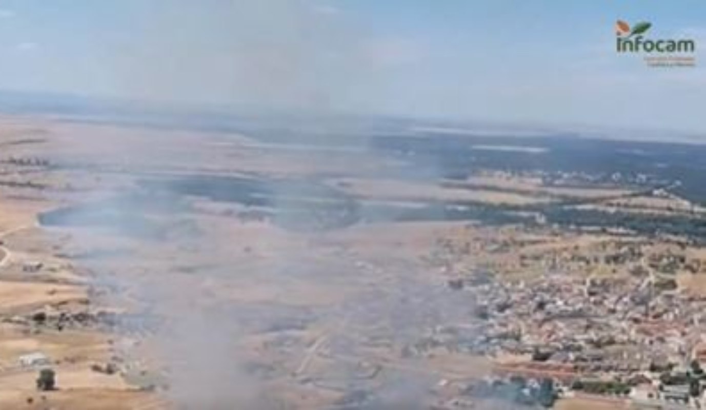 Incendio en Gamonal (Toledo).
