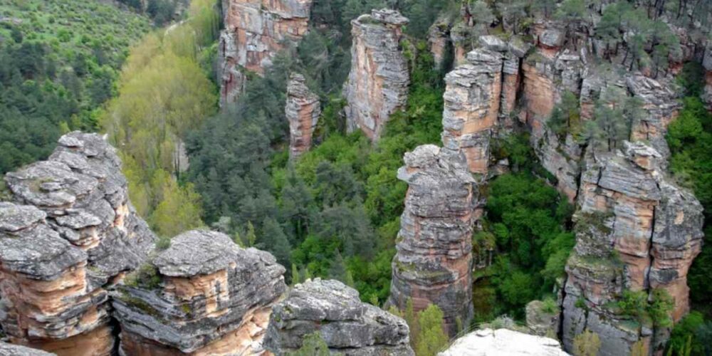 Parque Natural Alto Tajo Foto: Turismo Castilla-La Mancha.