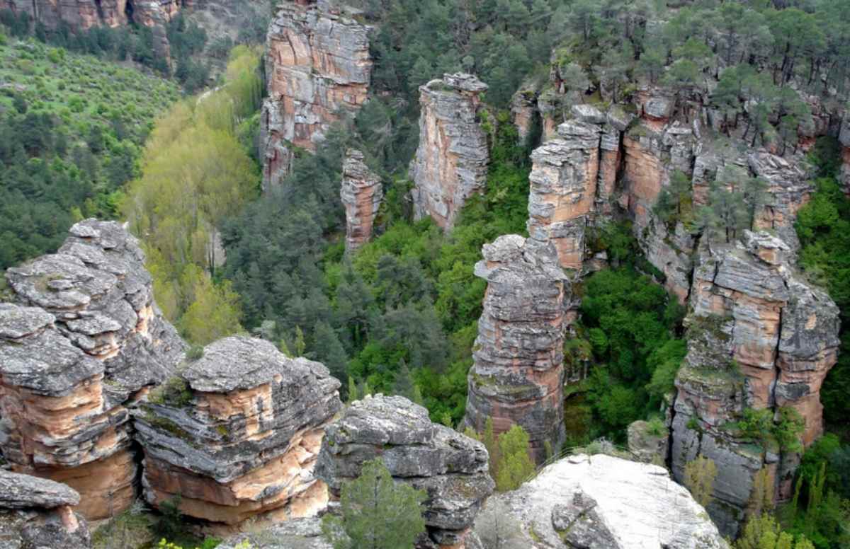 Parque Natural Alto Tajo Foto: Turismo Castilla-La Mancha.
