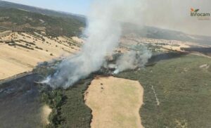 Imagen del incendio en Piedrabuena.