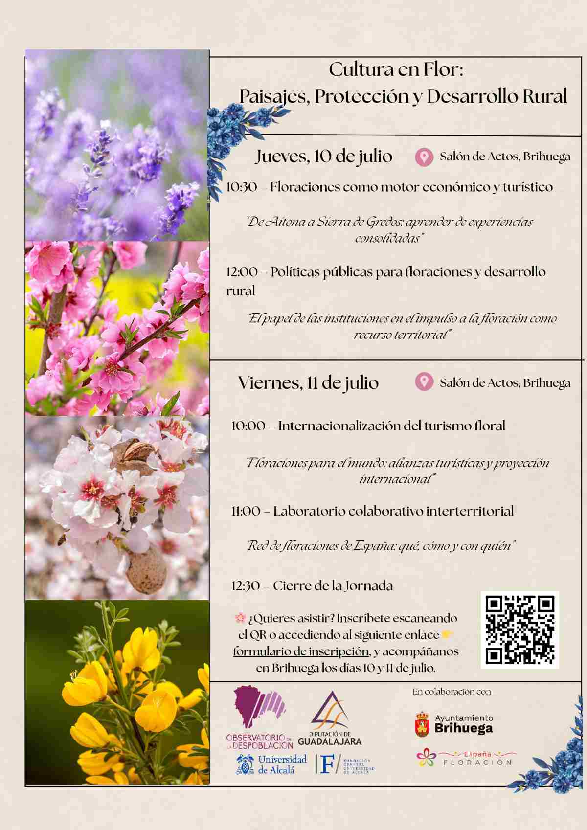 Programa Floración Brihuega