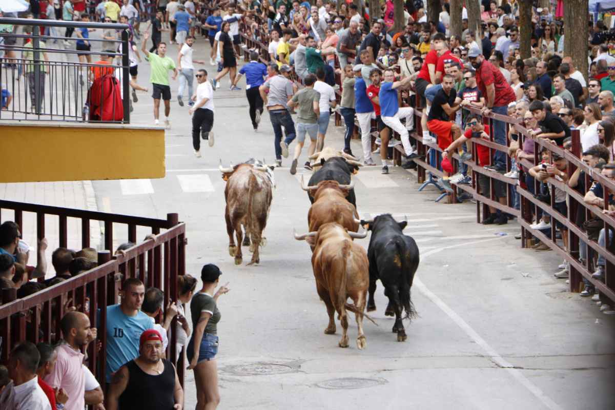 Imagen de los encierros de Almodóvar del Campo