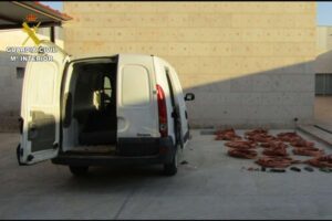 Material incautado por la Guardia Civil