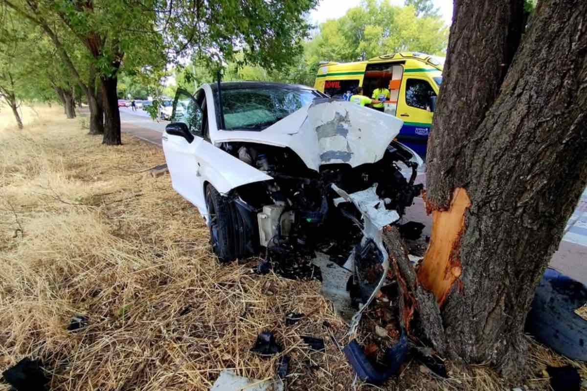 Colisión de un coche contra aun árbol en Cuenca. Foto: @policialocalcuenca