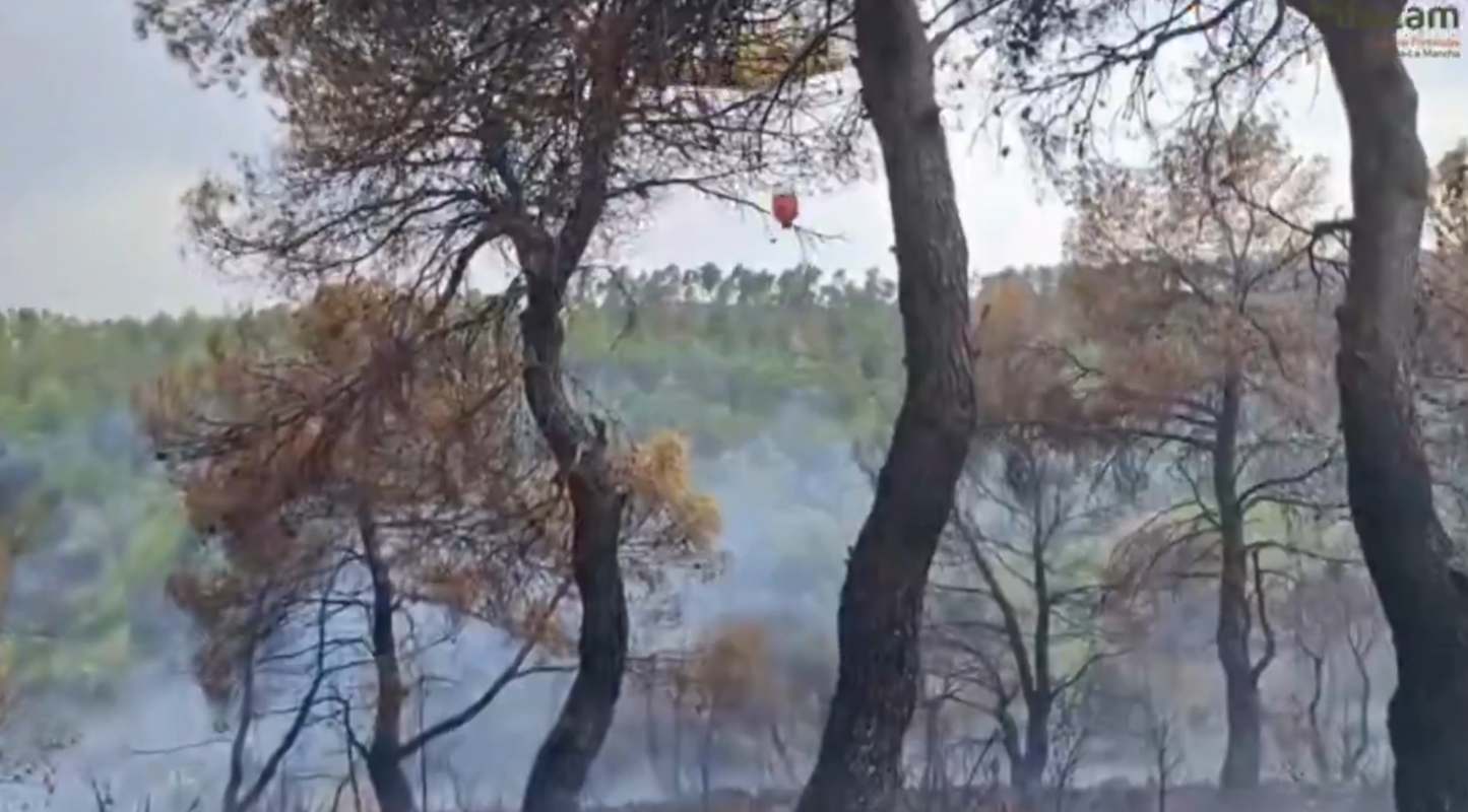 Detalle del incendio de Alcadozo.