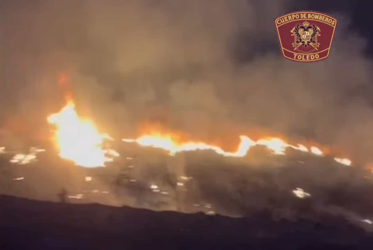 Incendio junto a la carretera de La Puebla de Montalbán.