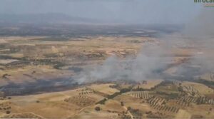 Detalle del incendio en El Casar de Escalona.