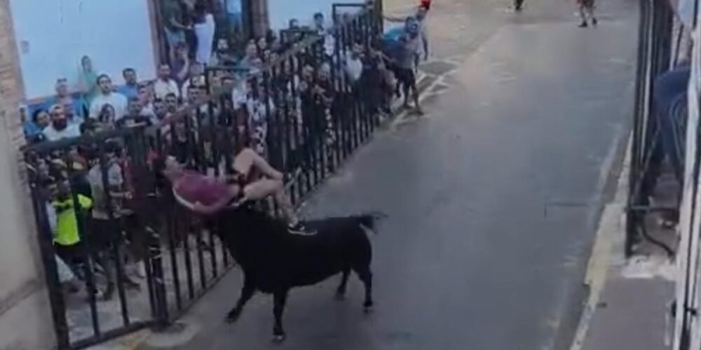 Cogida de un toro en Fernán Caballero (Ciudad Real)