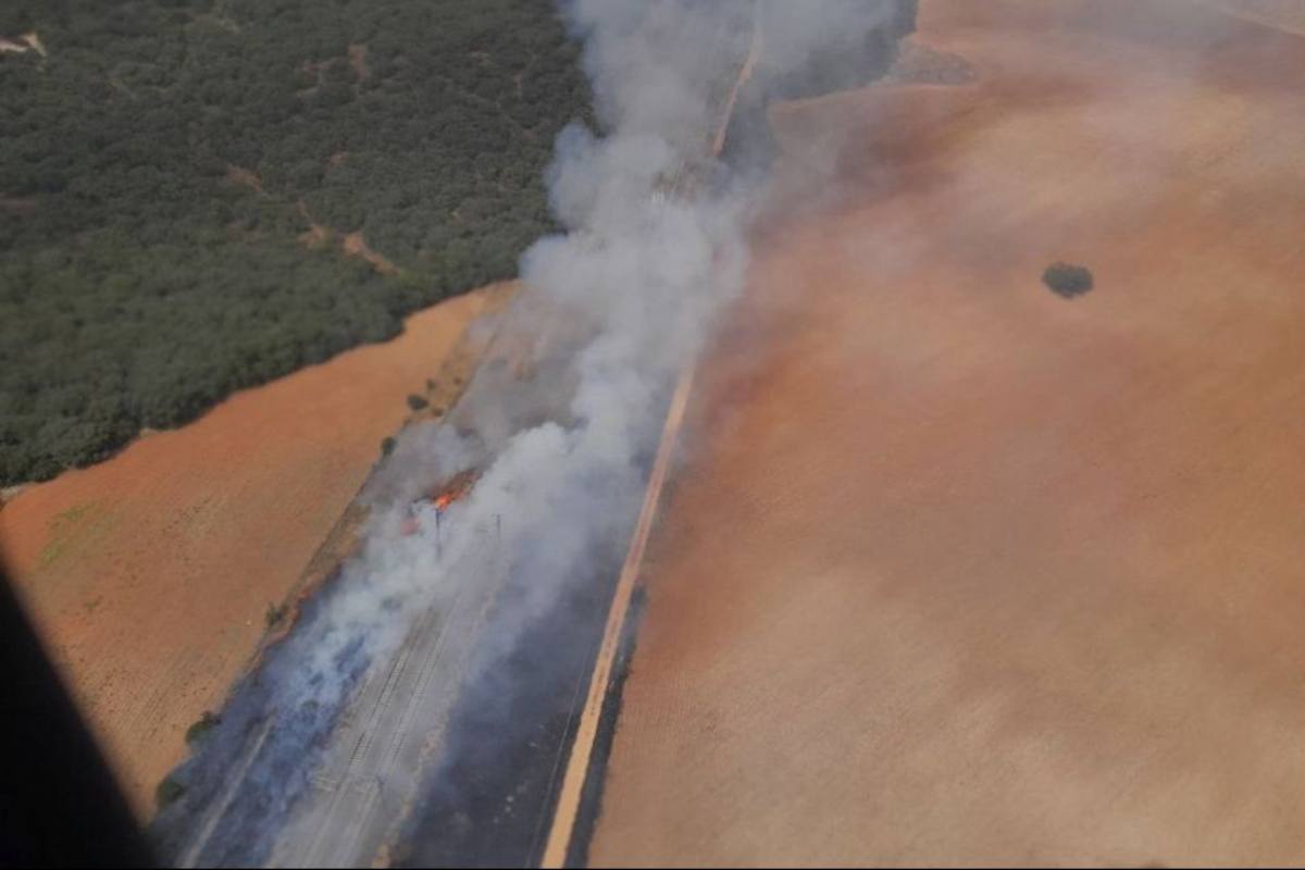 El fuego se ha producido al lado de las vías. Foto: Infocam