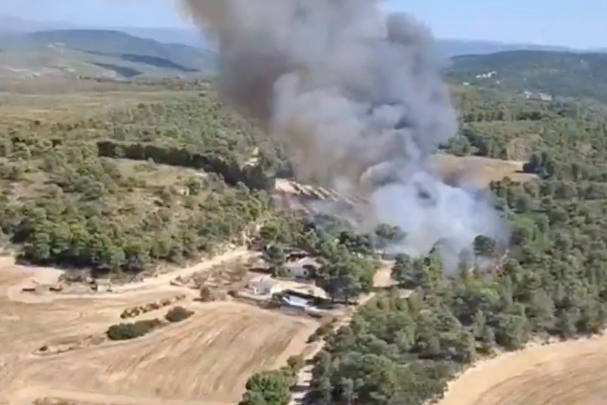 Incendio forestal en Almansa (Albacete). Foto: Infocam