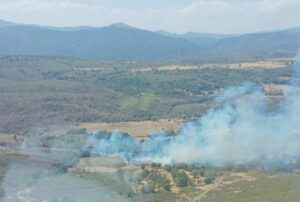 Incendio en Campillo de Ranas. Foto: Infocam