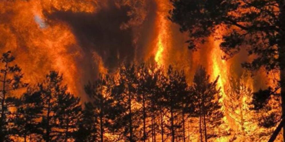 Imagen del incendio en La Huerce, en la Sierra Norte de Guadalajara.