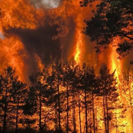 Imagen del incendio en La Huerce, en la Sierra Norte de Guadalajara.