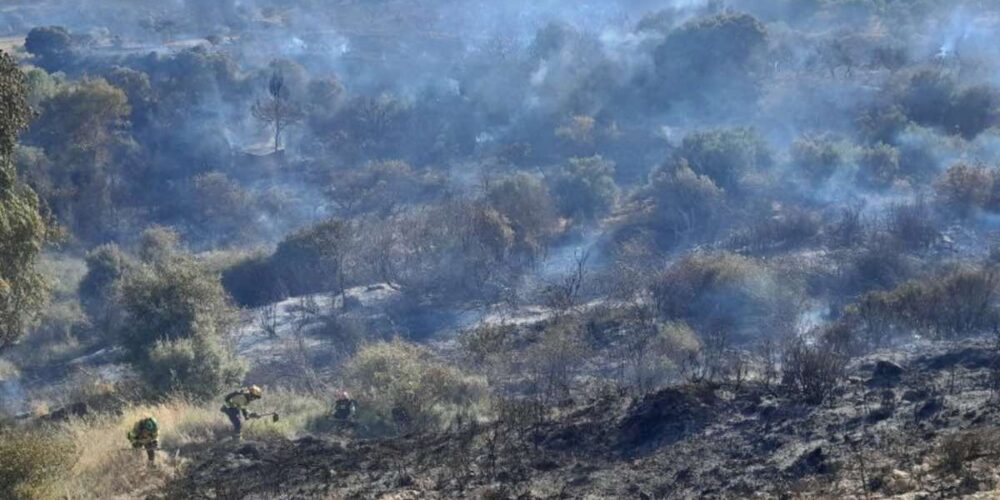 Incendio forestal en Loranca de Tajuña (Guadalajara). Foto: Infocam