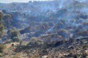 Incendio forestal en Loranca de Tajuña (Guadalajara). Foto: Infocam