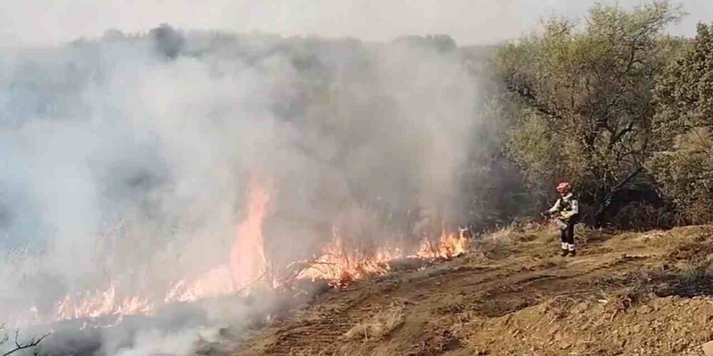Labores de extinción en el incendio forestal de Navalmoralejo (Toledo).