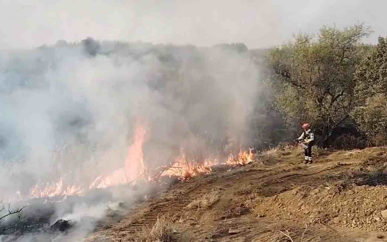 Labores de extinción en el incendio forestal de Navalmoralejo (Toledo).