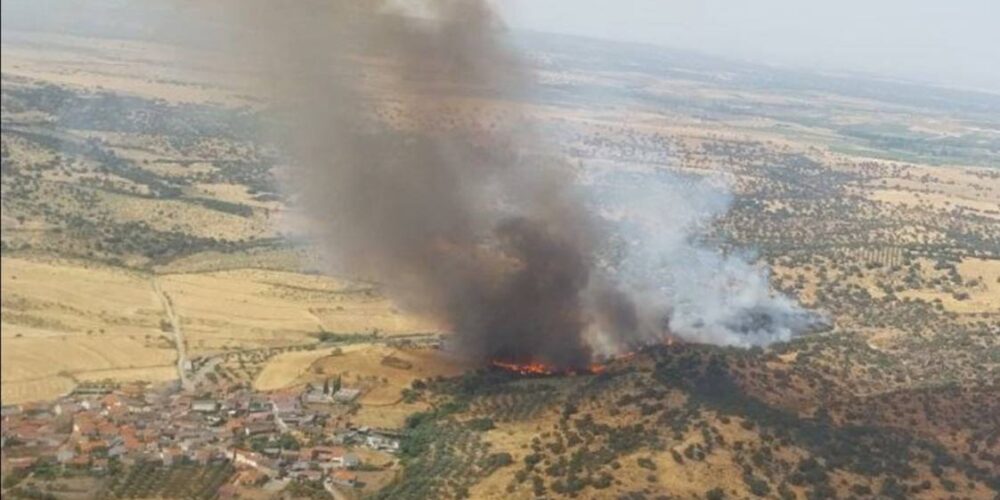 Incendio forestal se ha declarado este lunes en el término municipal de Navalmoralejo (Toledo).