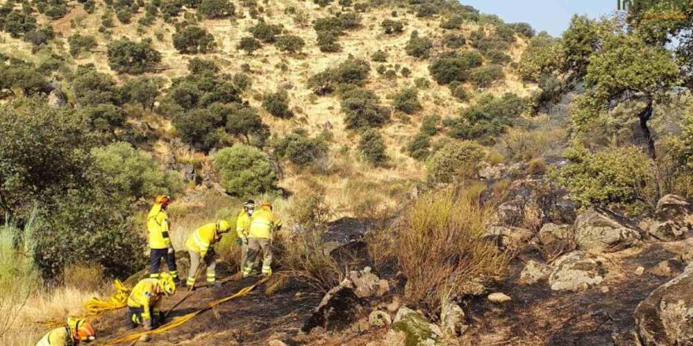 Incendio en Navalmoralejo.