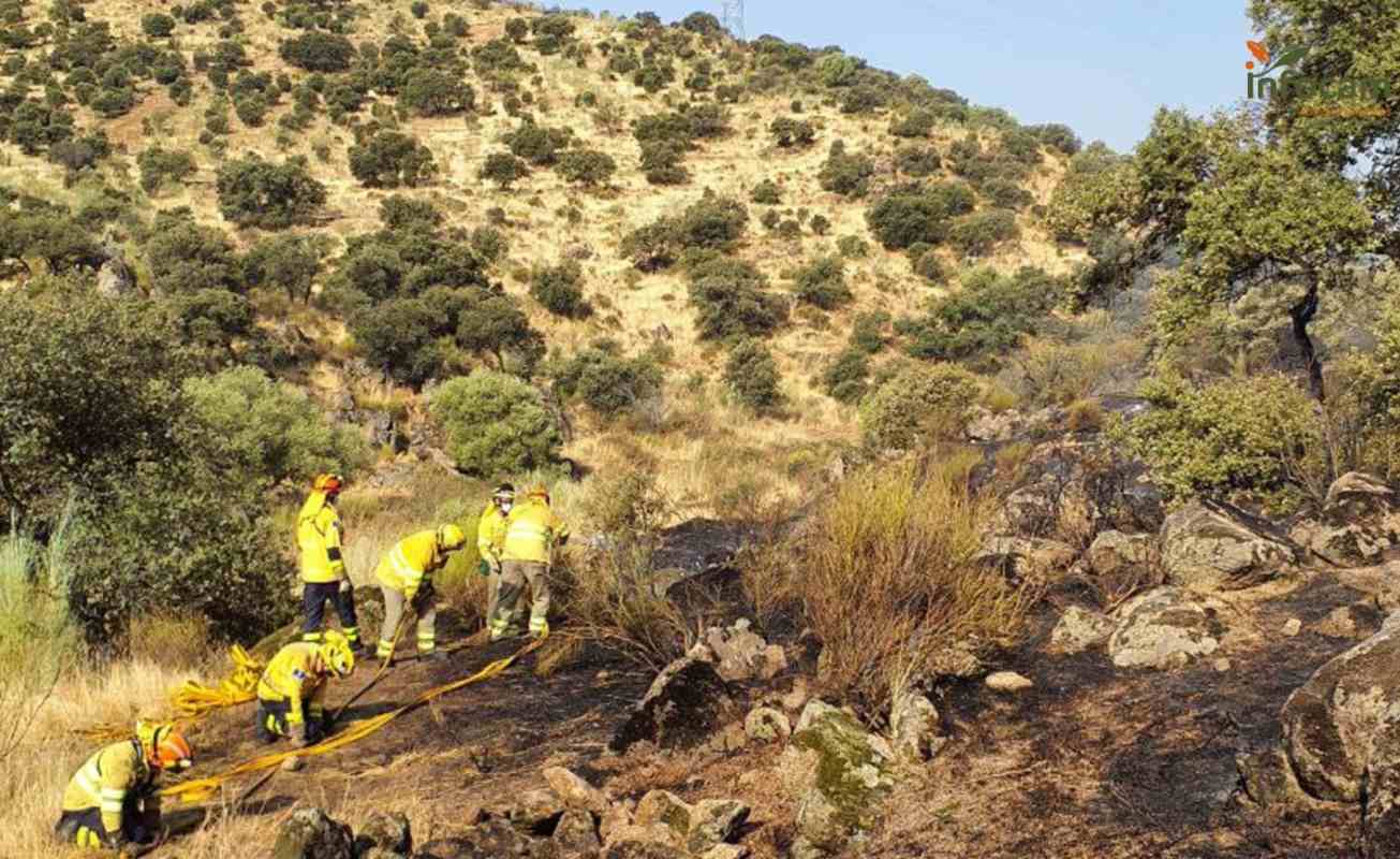 Incendio en Navalmoralejo.
