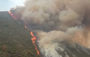 Incendio en Picos de Europa.