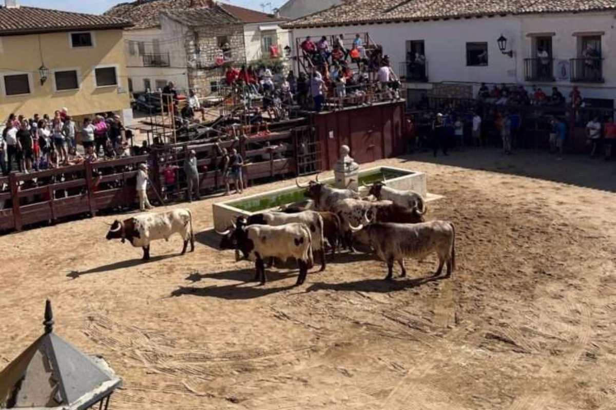 Plaza de Toros Fuentelencina Foto: Ayto Fuentelencina