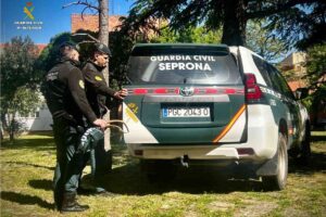 Imagen de archivo de una patrulla del Seprona.