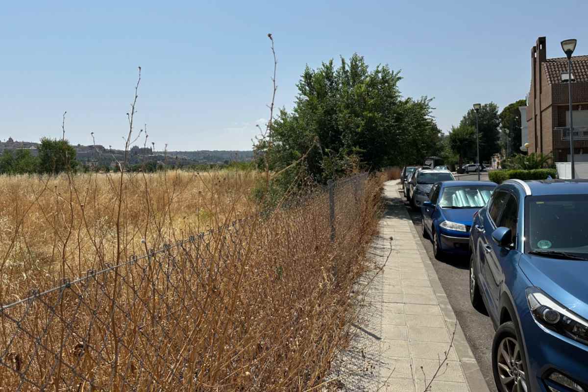 Una parcela sin desbrozar en Toledo. Foto: PSOE Toledo