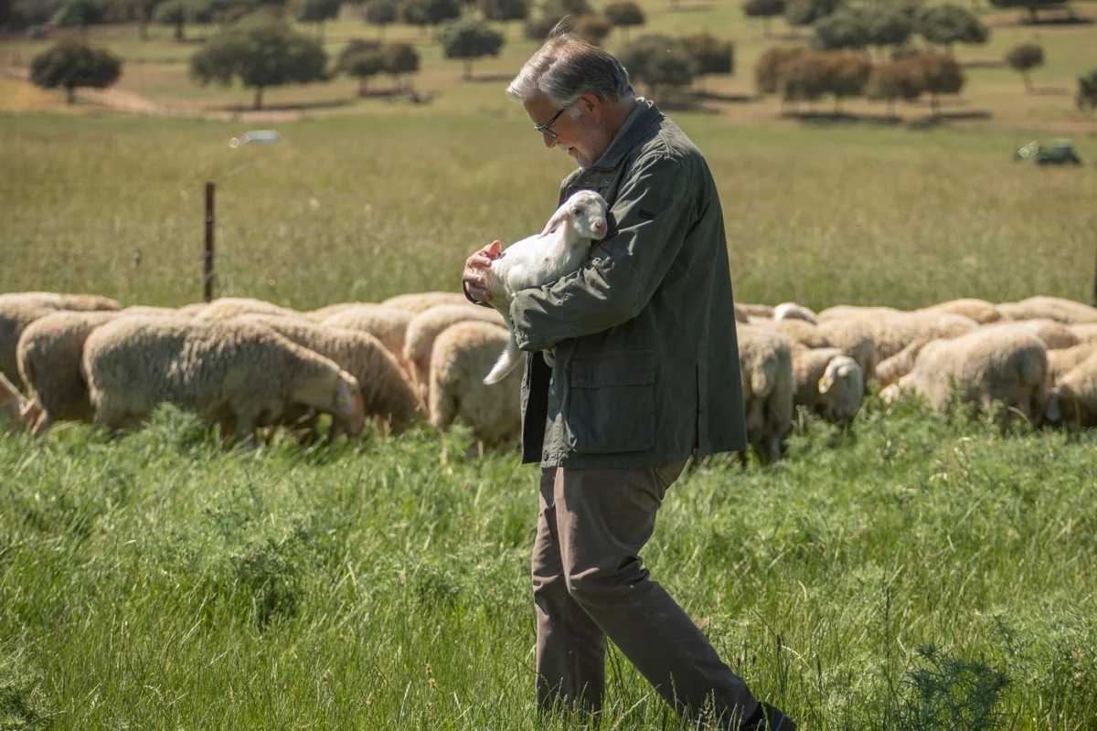 Imagen de Ricardo García, propietario de la quesería, con sus ovejas
