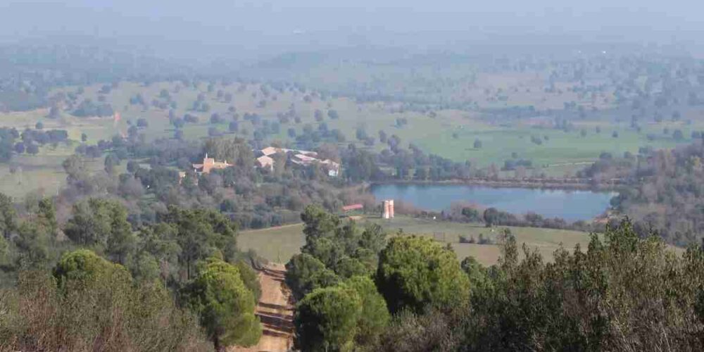 Imagen de la finca. Al fondo, la casa con 20 dormitorios. Foto: Fincalista