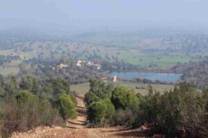 Imagen de la finca. Al fondo, la casa con 20 dormitorios. Foto: Fincalista