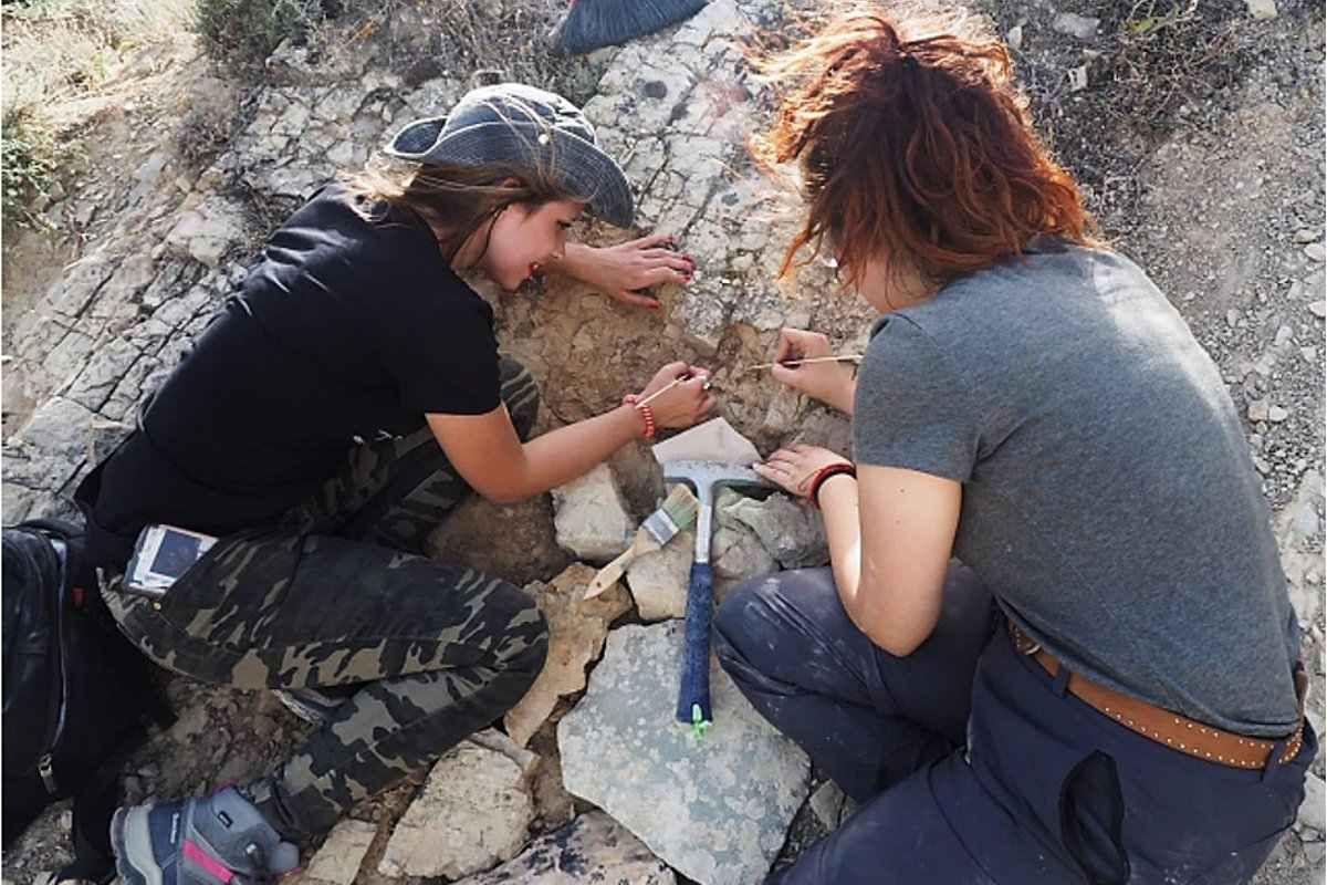 Jornada Paleontológica UAH