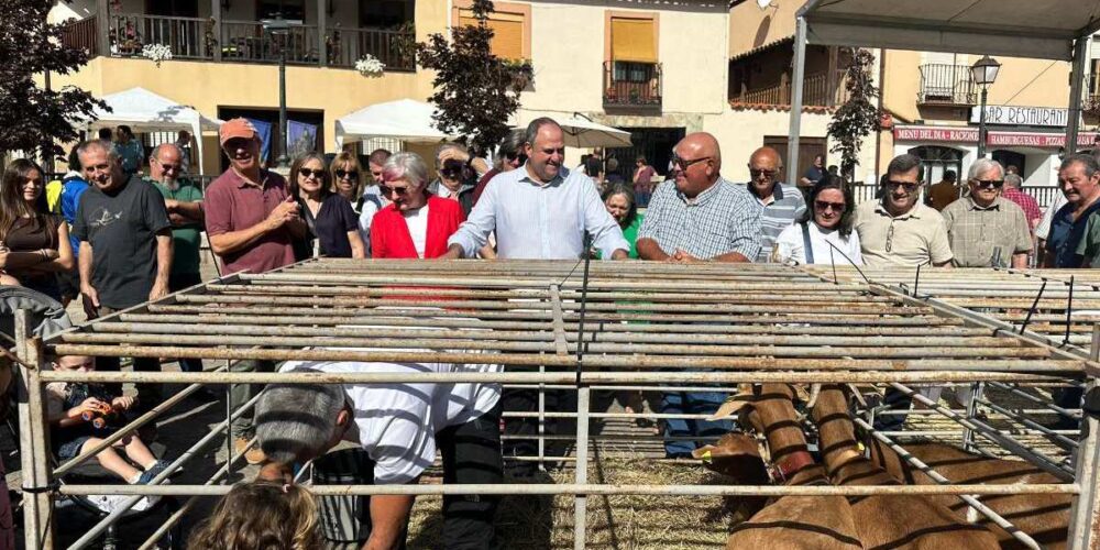 Julián Martínez Lizán