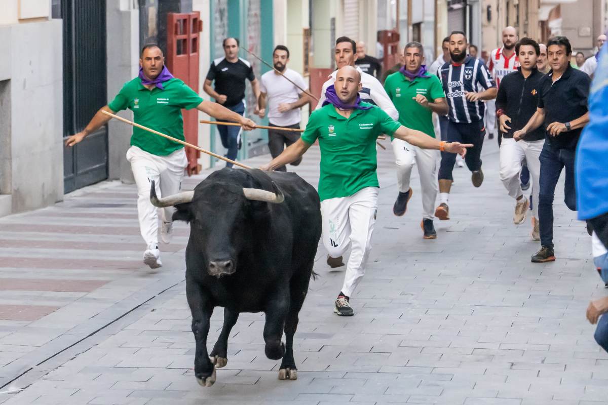 Los pastores claves en el encierro