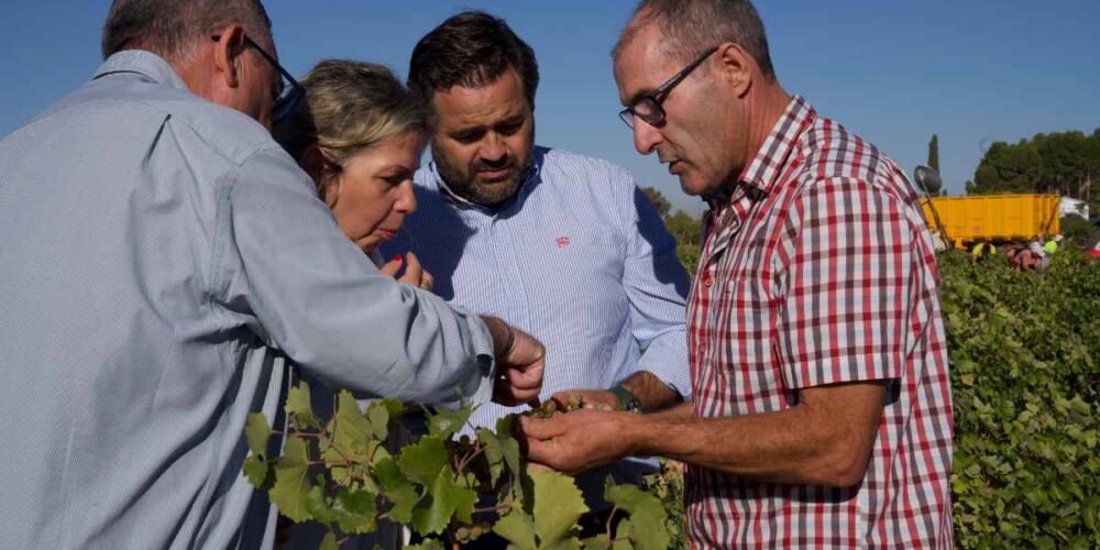 Paco Núñez ha visitado este viernes un viñedo en Socuéllamos