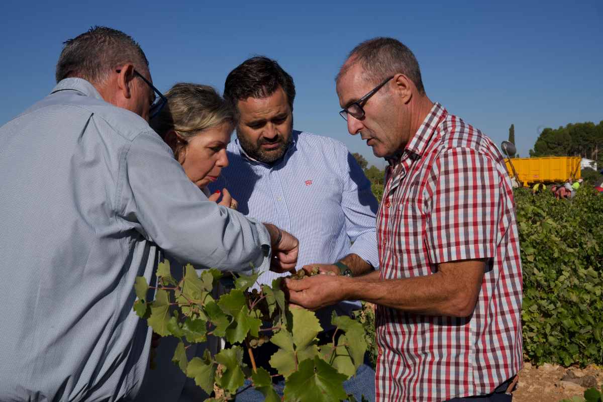 Paco Núñez ha visitado este viernes un viñedo en Socuéllamos