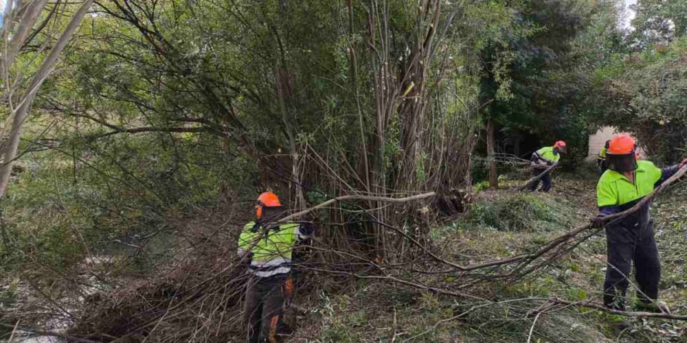 Operarios trabajando