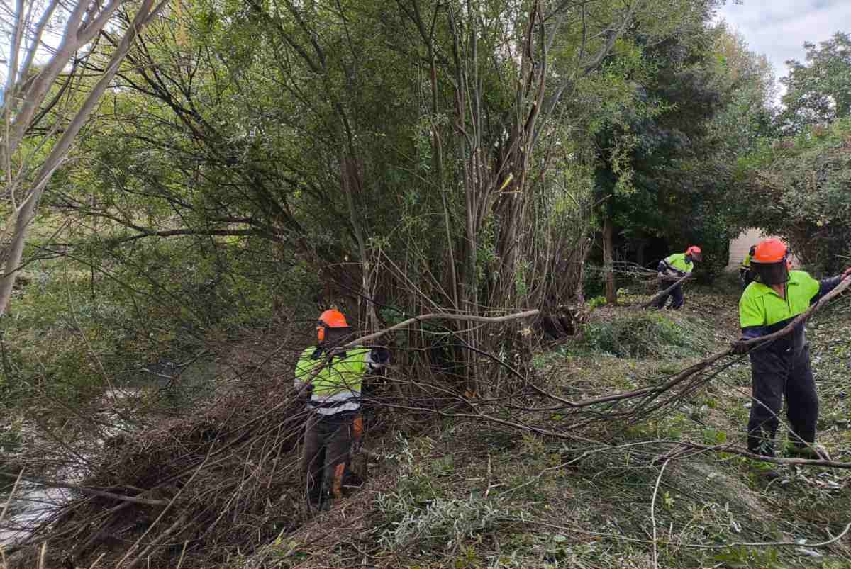 Operarios trabajando