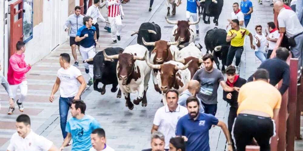 Imagen del último encierro de Guadalajara.