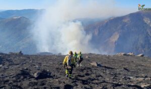 Imagen del incendio en Peñalba de la Sierra.