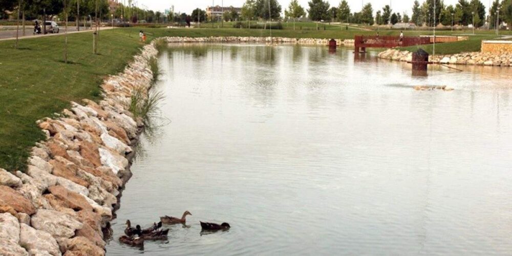 Patos en Lago Valdeluz