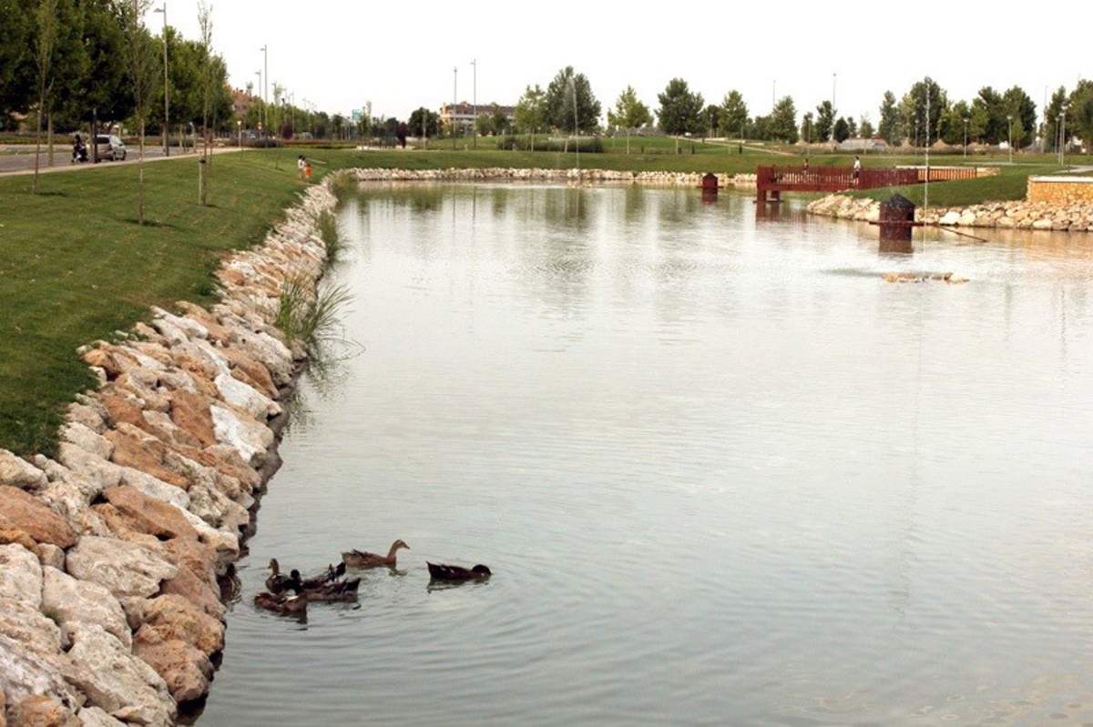 Patos en Lago Valdeluz