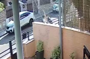 Ocurrió en la urbanización de El Señorío de Illescas, en la localidad de Illescas (Toledo).