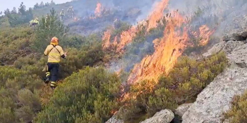 Incendio forestal de Peñalba de la Sierra (Guadalajara) este domingo. Foto: Infocam