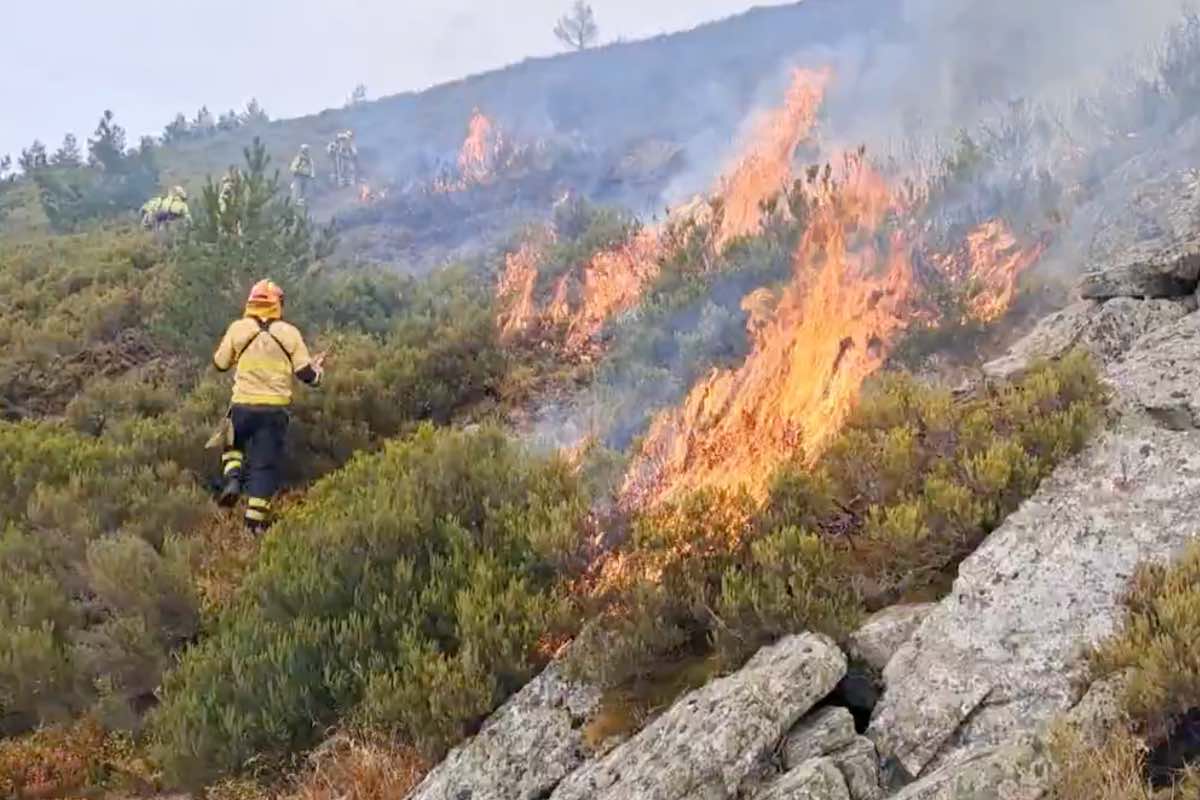 Incendio forestal de Peñalba de la Sierra (Guadalajara) este domingo. Foto: Infocam
